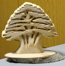 Load image into Gallery viewer, Cedar Wood Sculptured in Relief
