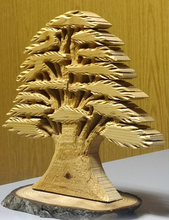 Load image into Gallery viewer, Cedar Wood Sculptured in Relief
