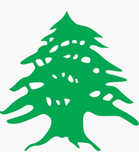 Load image into Gallery viewer, Cedar
