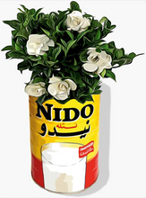 Load image into Gallery viewer, Nido Gardenia Pot Sticker
