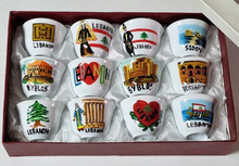 Load image into Gallery viewer, Hand Painted Fanajeen [Set of 12]
