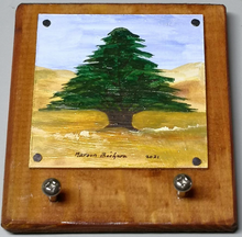 Load image into Gallery viewer, Hand Painted Key Rack
